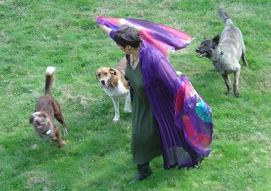 dancing with dogs dancing with dogs